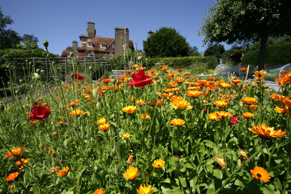 "Standen National Trust Gardens" by Adam Swaine at