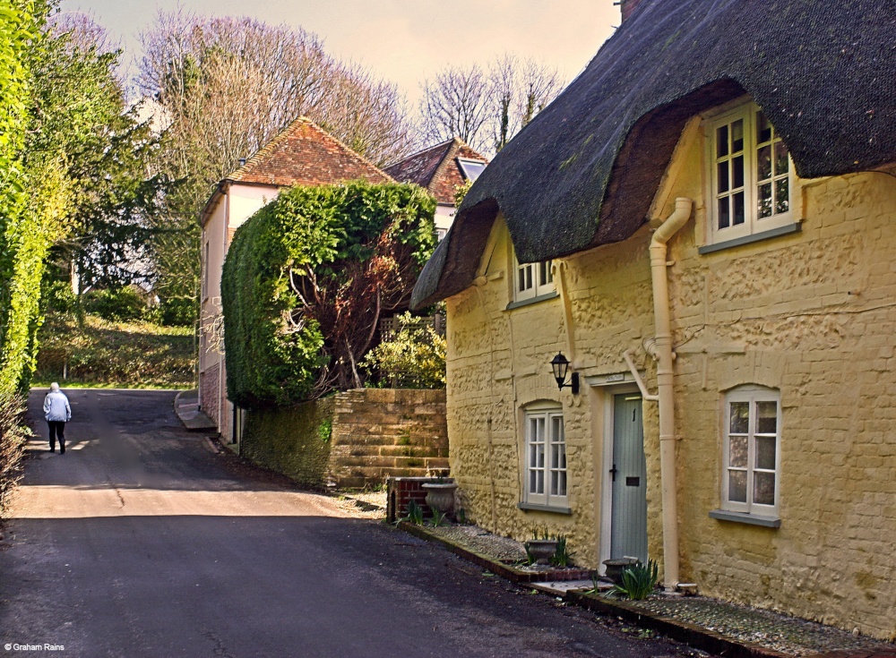 Stour Valley Winter, Stourpaine.
