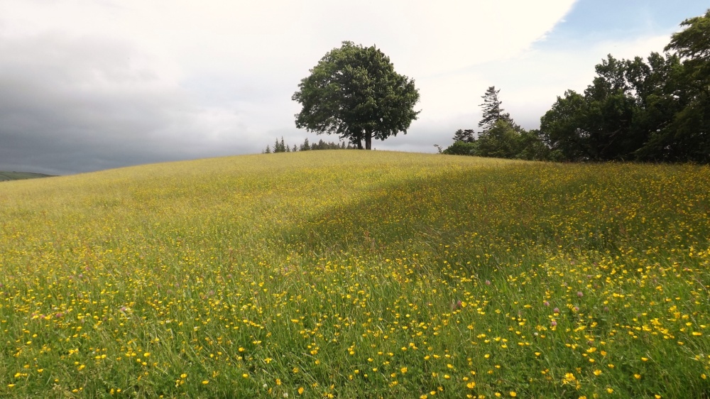 Teesdale, County Durham