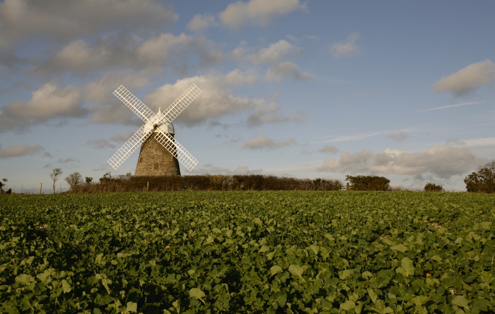 Photograph of Halnaker Windmill