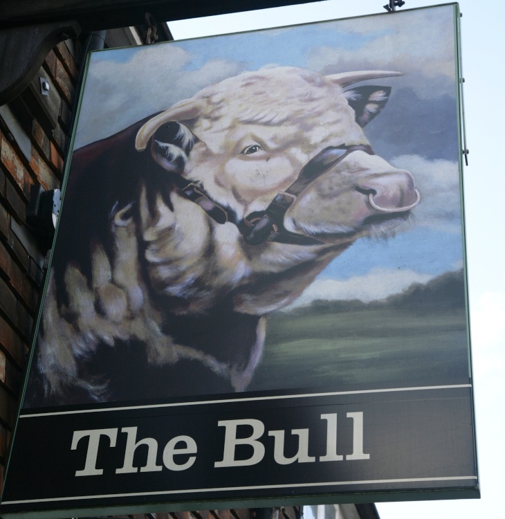 The Bull