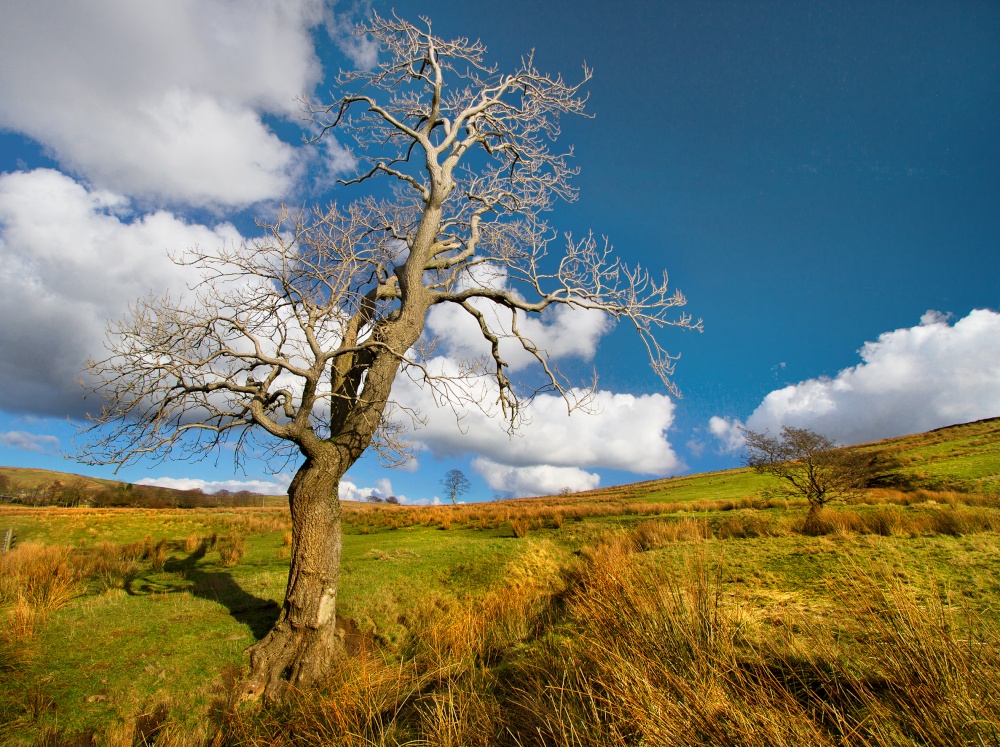 Barley, Lancashire