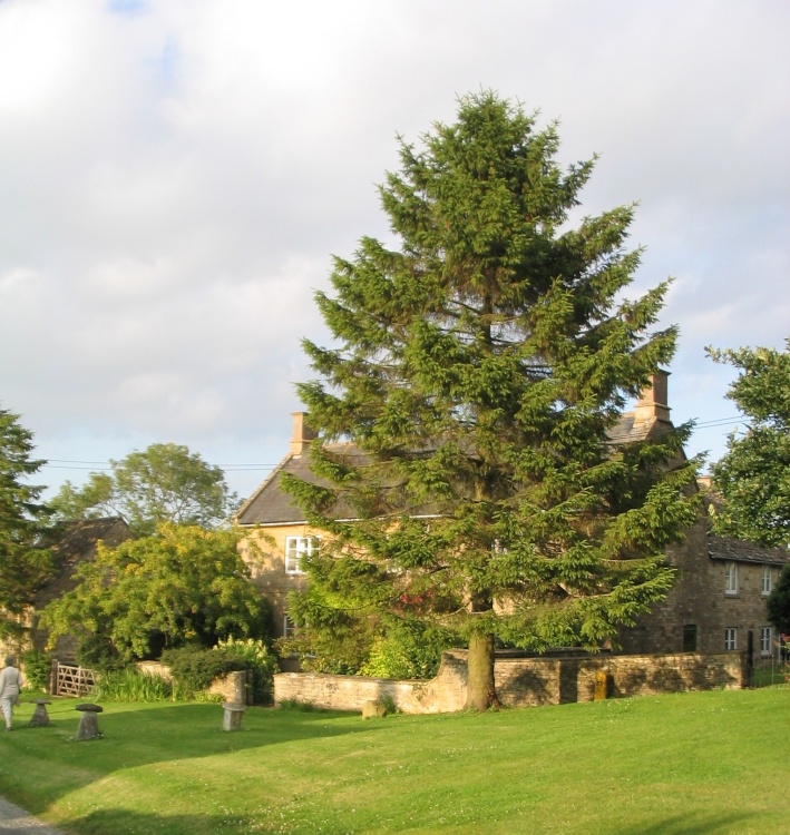 Cottage in Nether Westcote