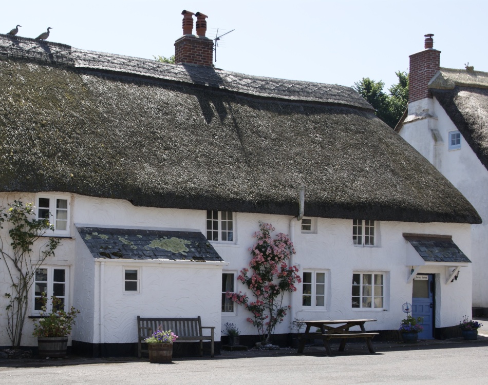 Photograph of Cottage in Hope Cove