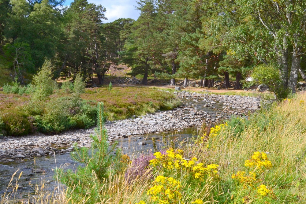 River Quoich