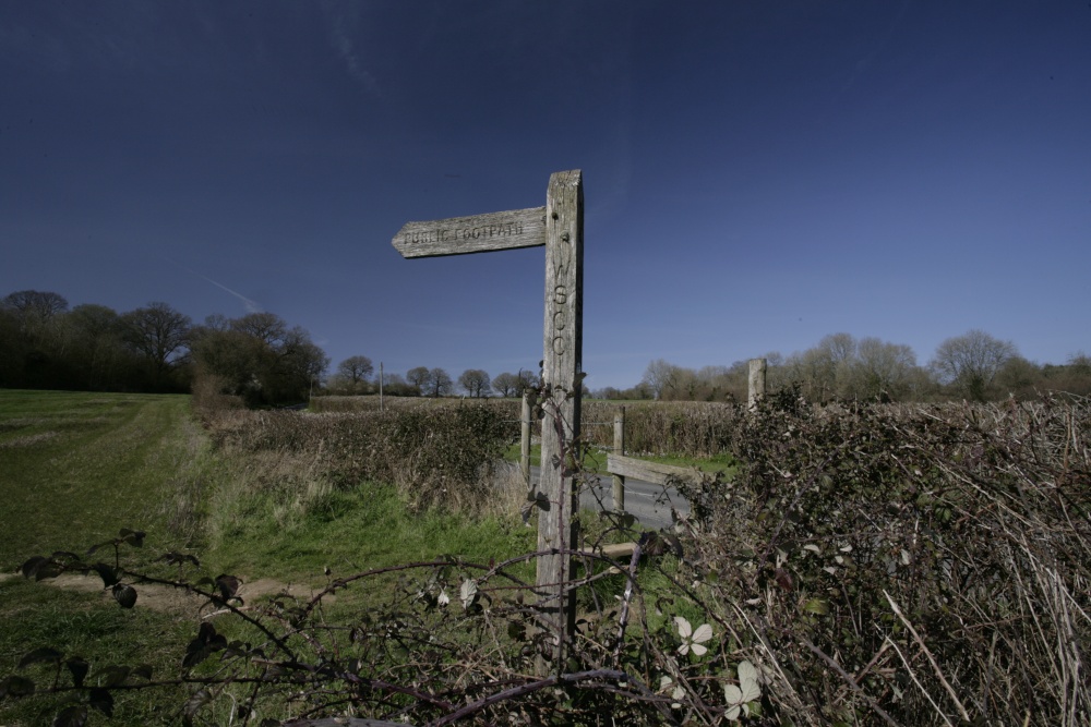 Photograph of A Rural Walk Sussex