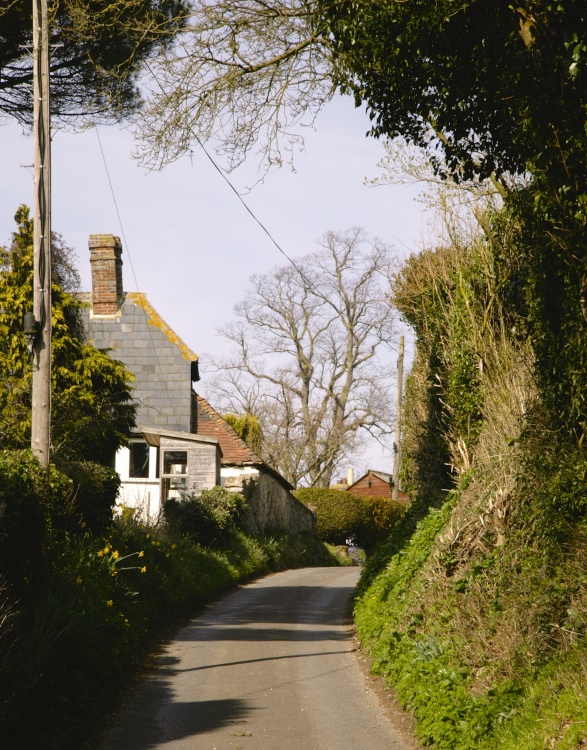 Country Lane