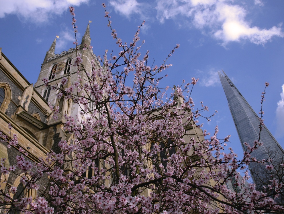 Southwark Cathedral SE1 photo by Adam Swaine
