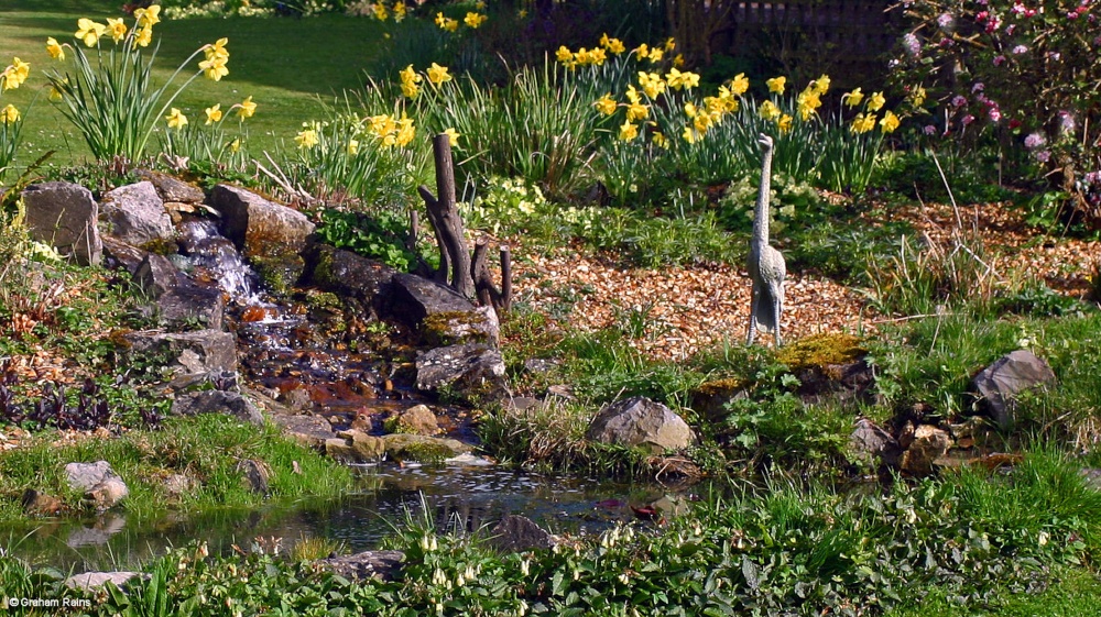 Stour Valley Spring, Shillingstone