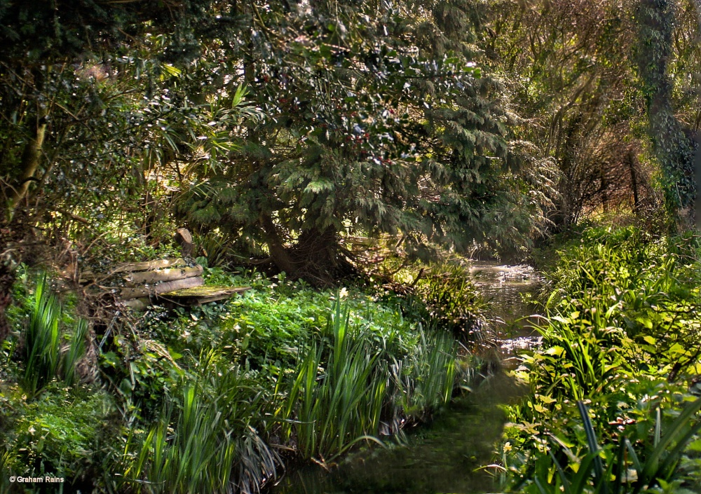 Stour Valley Spring, Shillingstone