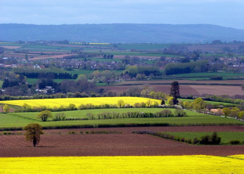 Photograph of Stoke Sub Hamdon