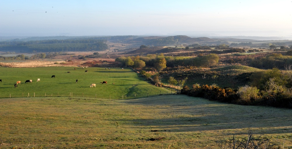 Studland Nature Reserve
