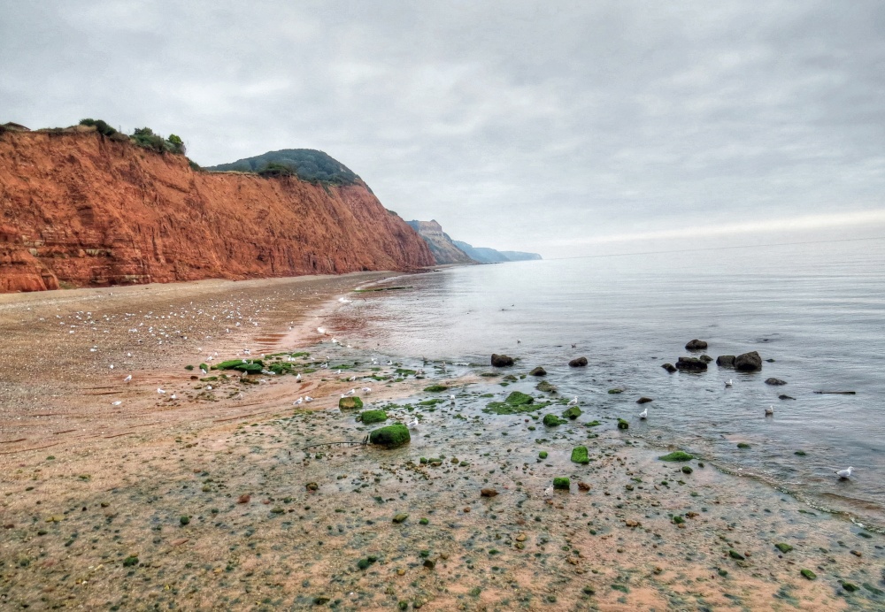 Sidmouth Cliffs and Beach