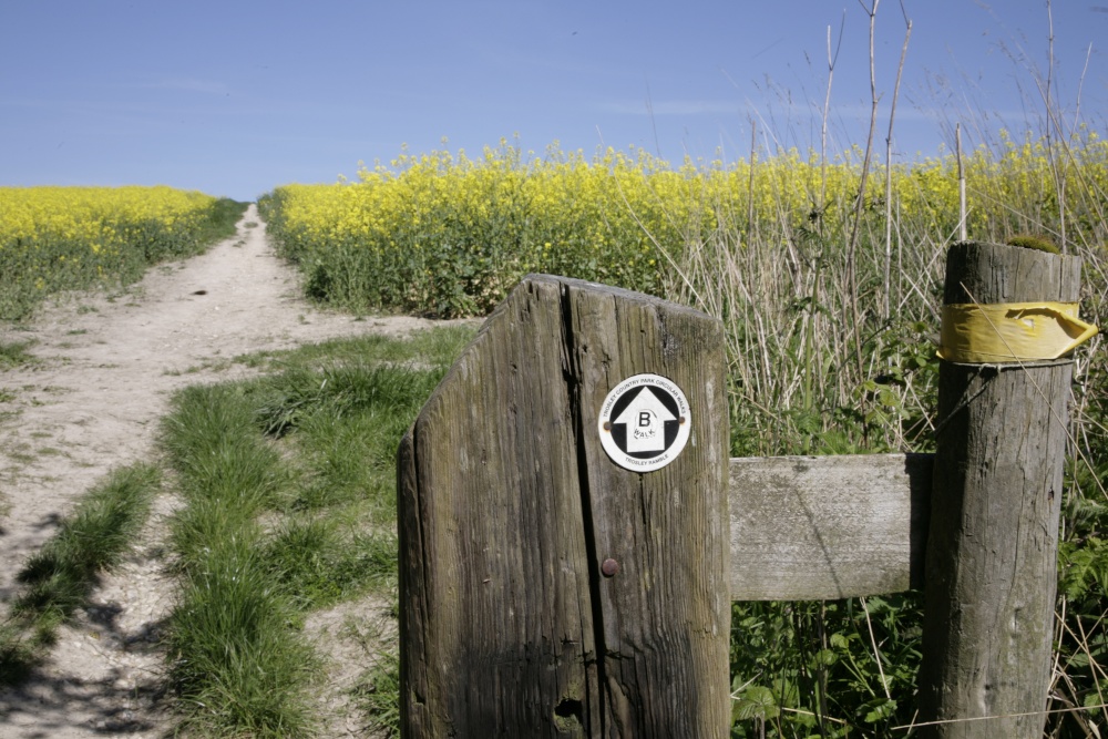 Photograph of Rural Walk Kent