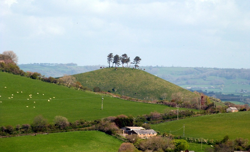 Colmer's hill