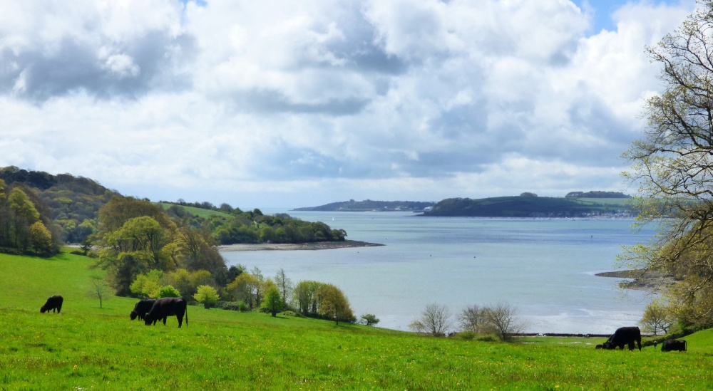 Looking towards Pendennis Castle from Trelissick House