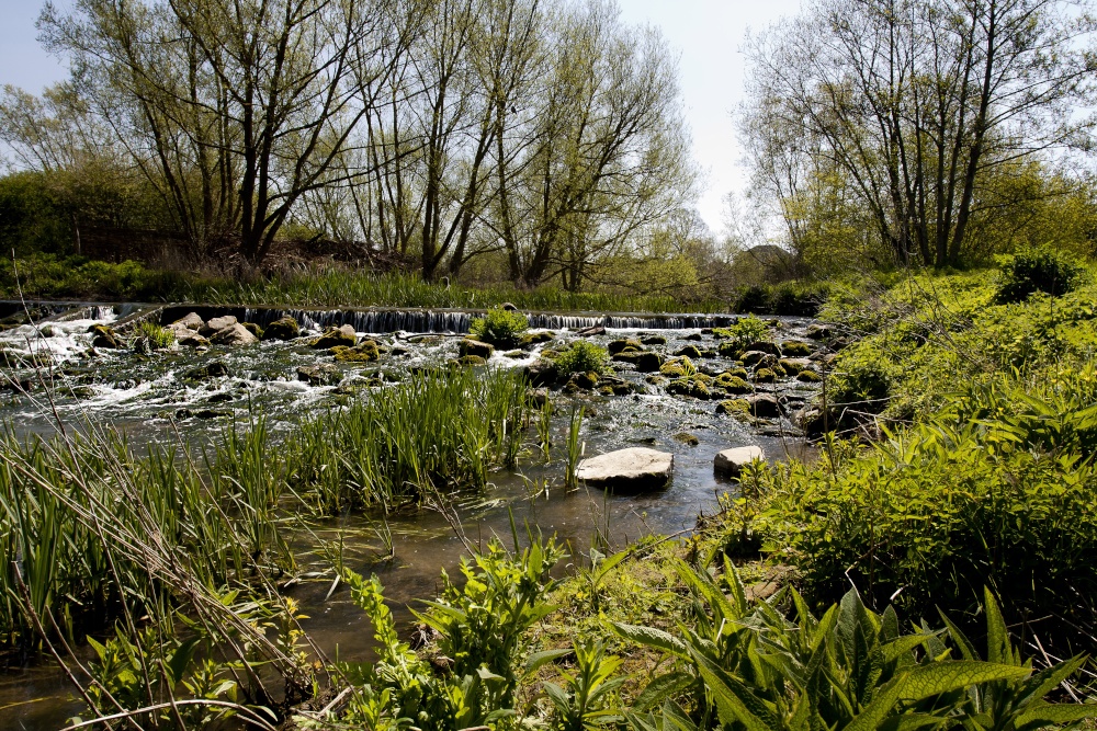 Biss Meadows Country Park photo by Colin Jones