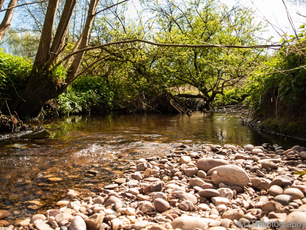 Photograph of Stony Stream