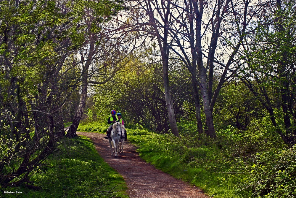 Stour Valley Spring, Shillingstone..