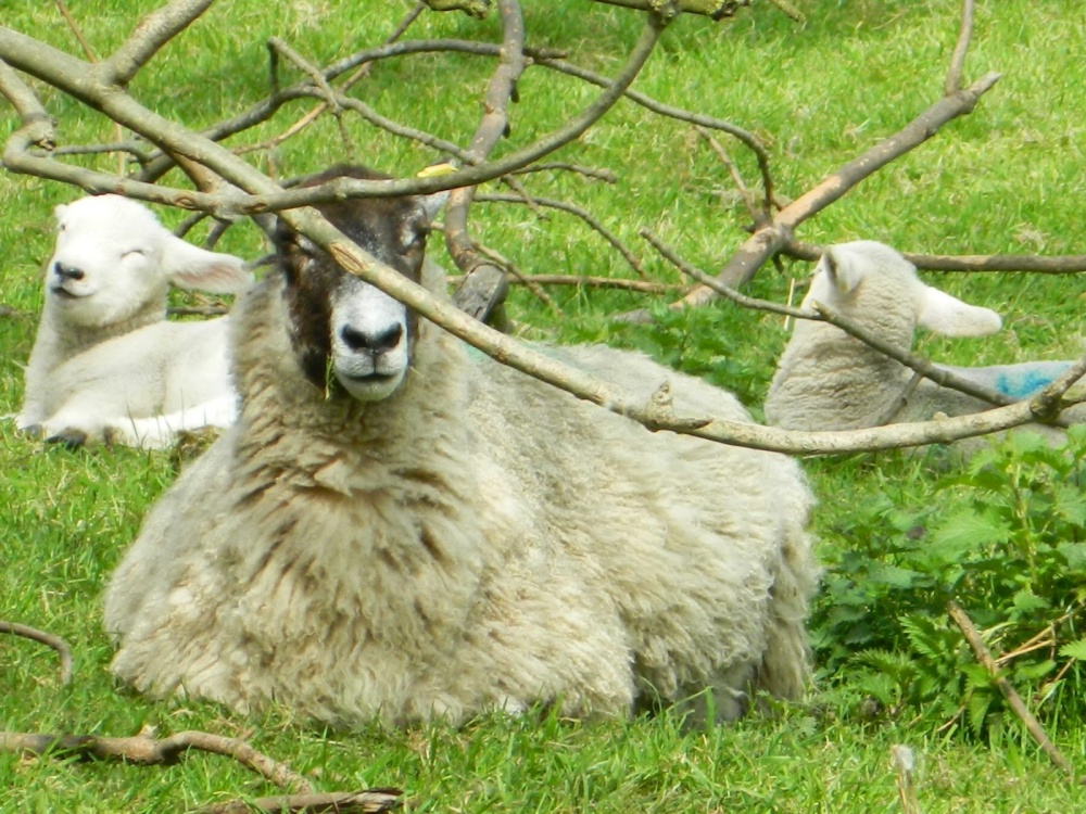 Family pic - Castleton, Derbyshire