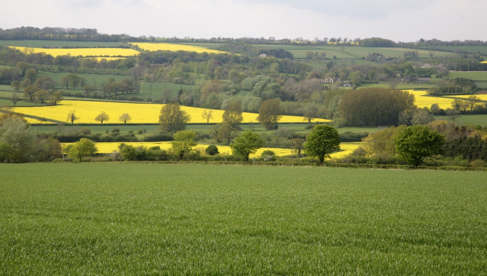 Cotswolds Hills, Oxon