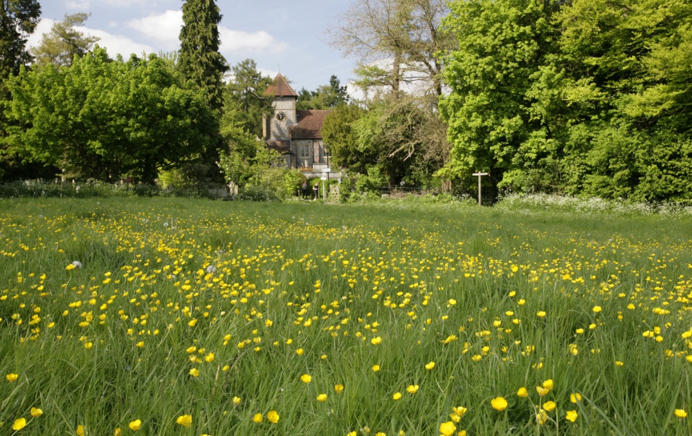 Church Meadows