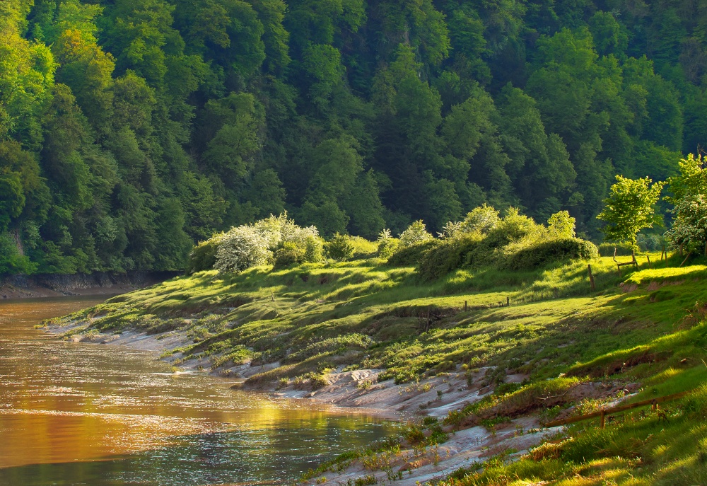 Evening Sun on the Bank, River Wye, Chepstow.