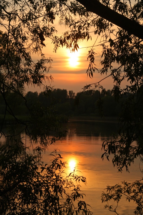 Ferry Meadows Country Park