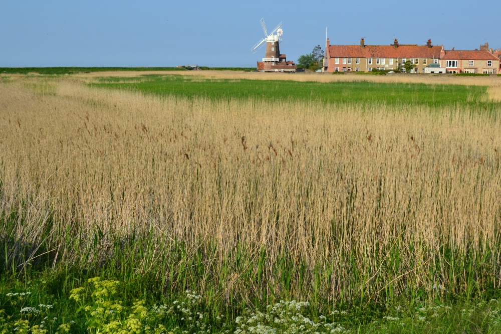 Cley Mill