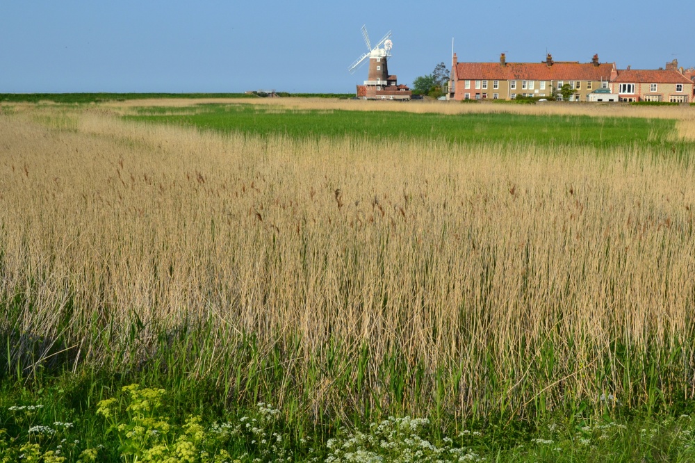 Photograph of Cley Mill