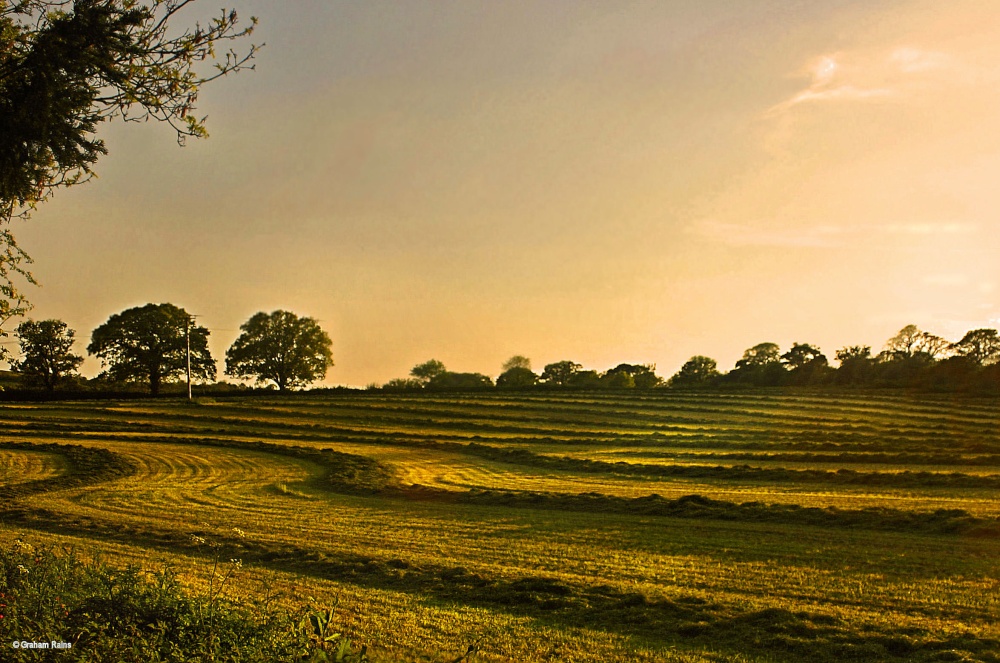 Stour Valley Spring, Shillingstone.