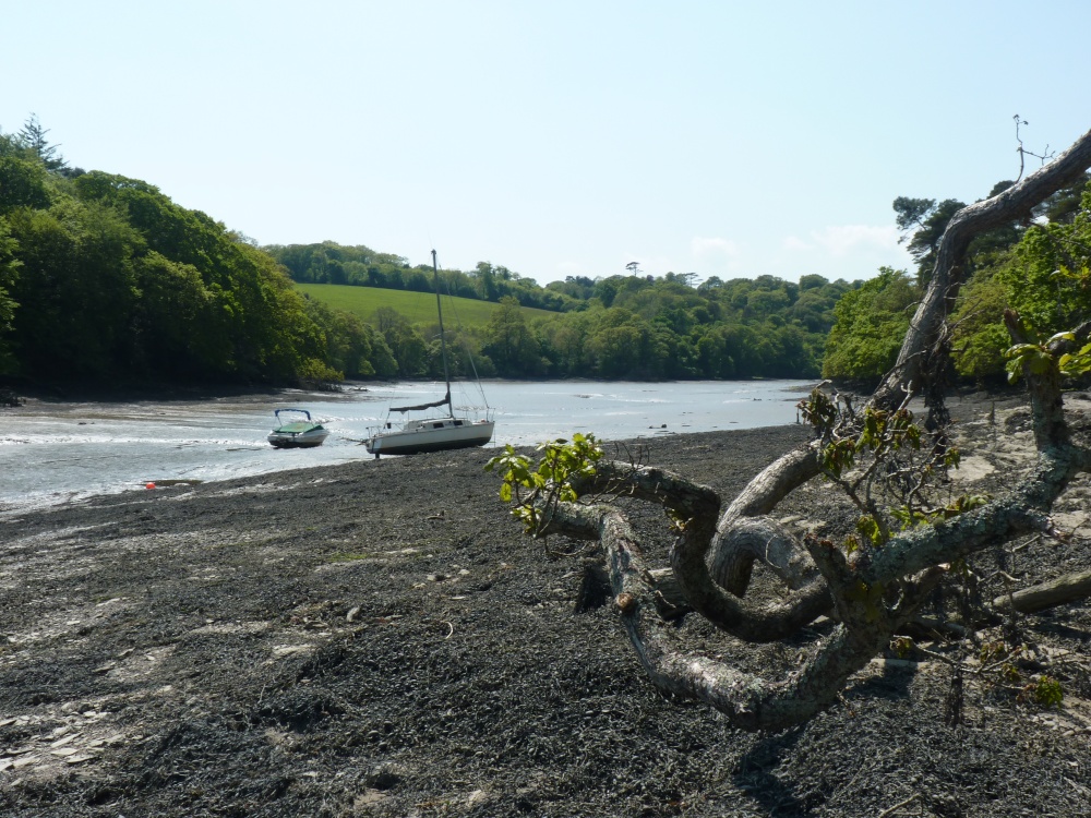 Up The Creek- No Paddle Required !