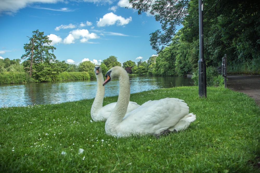 Photo of Burton upon Trent