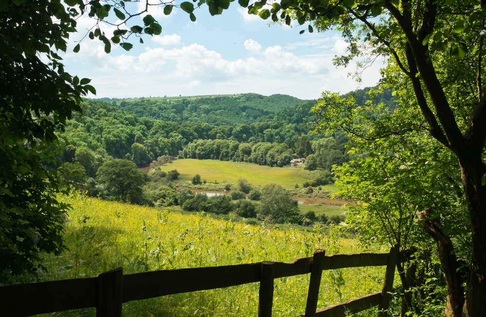 Photograph of Looking Down on the Old Railway Station, Tintern.