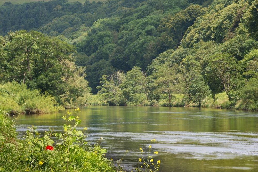 Photograph of River Wye above Bigsweir Bridge, Whitebrook.