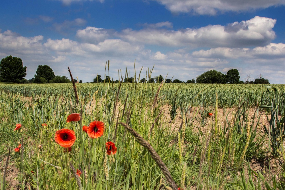Photograph of atherstone
