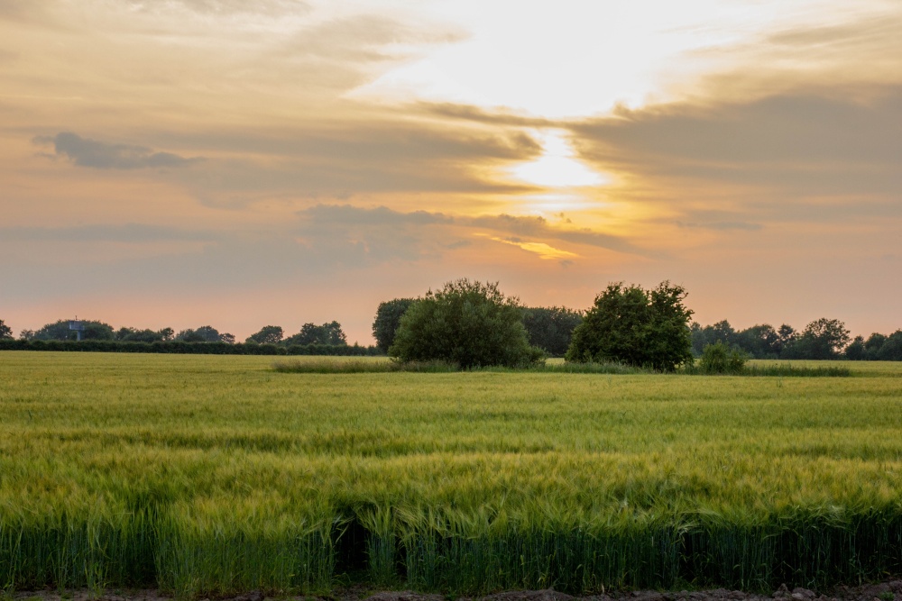 Photograph of Warton