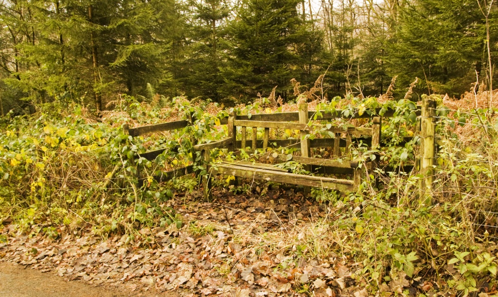 'Seen better days!!'