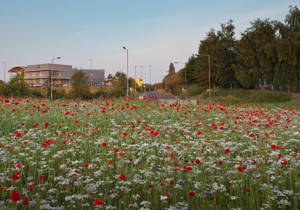 Roundabout in Chepstow.