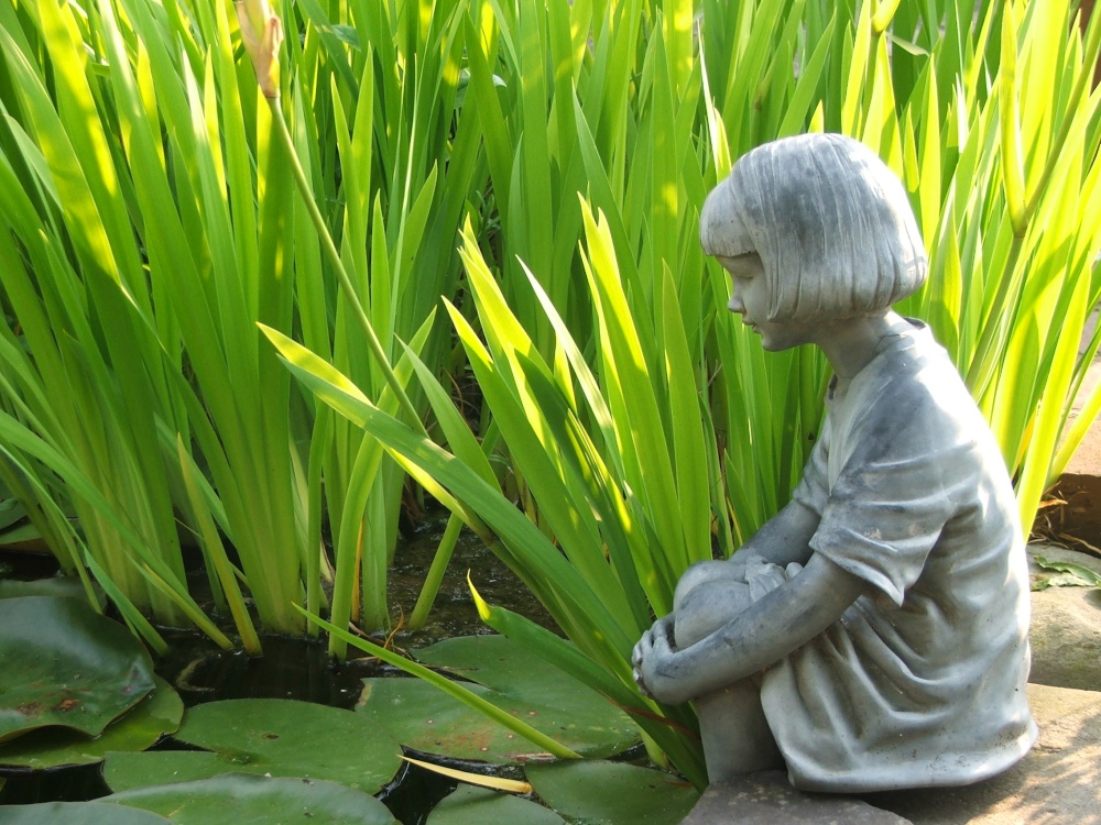 Girl by pond