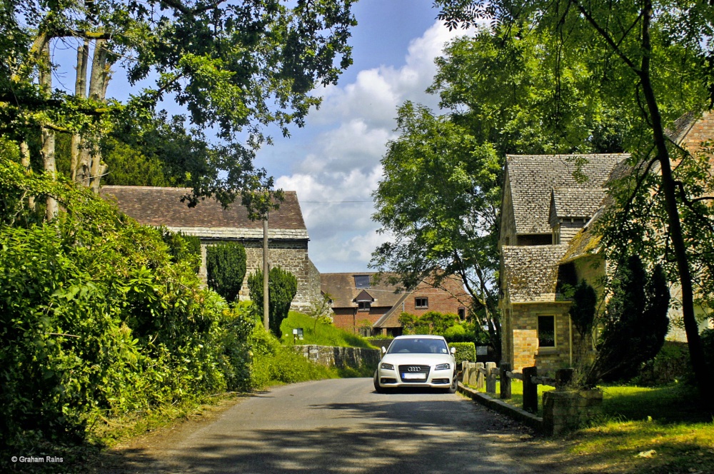 Arne RSPB Reserve, Dorset.