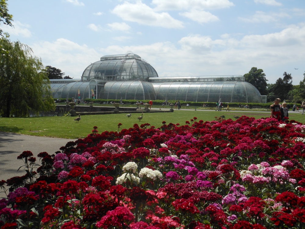 Palm House, Kew Gardens