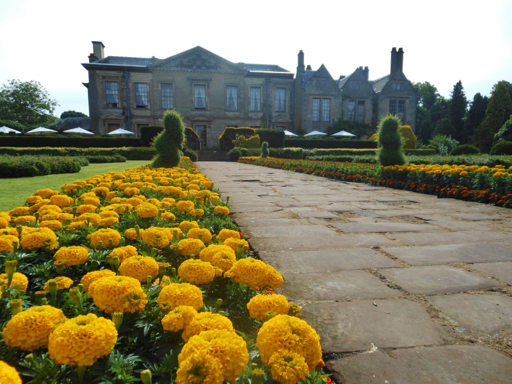 Coombe Abbey