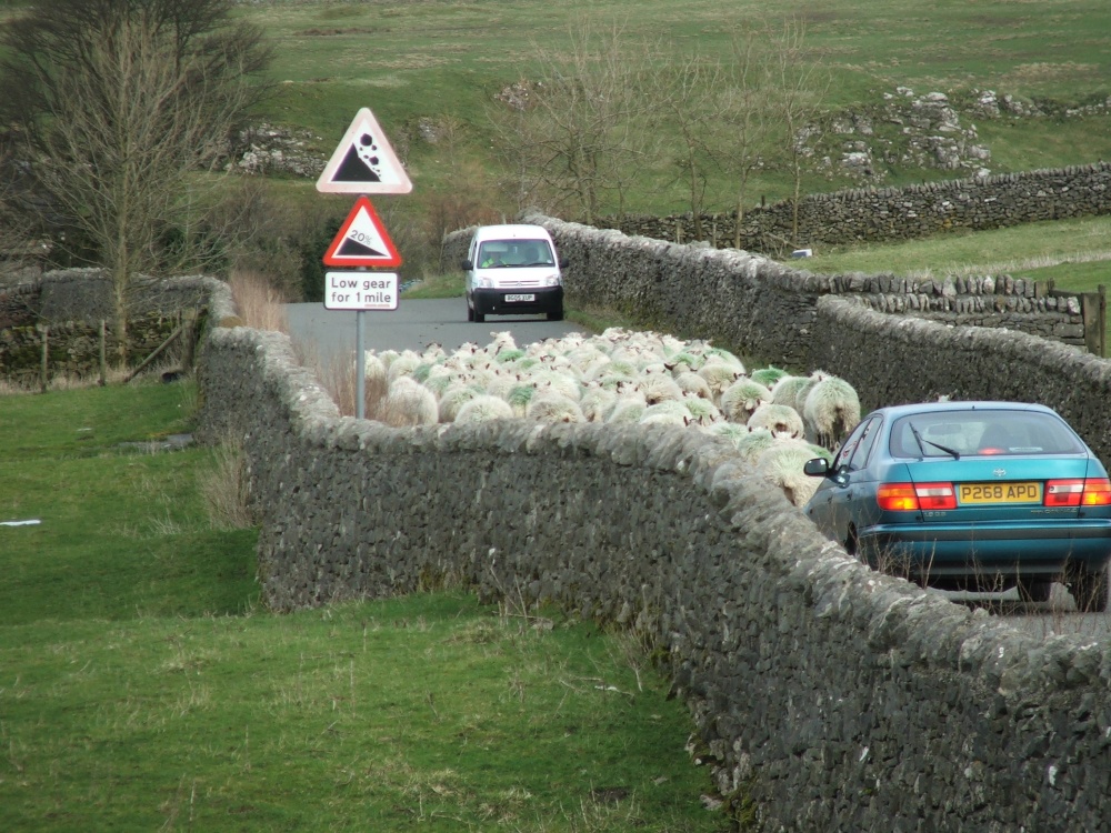 Rush hour in the peak