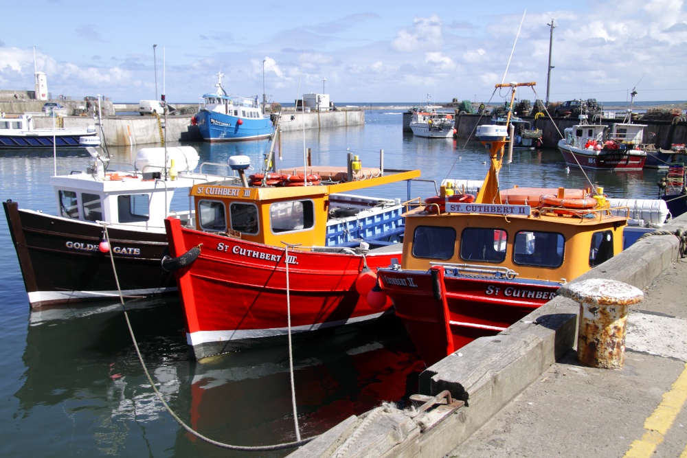 Seahouses harbour in northumberland