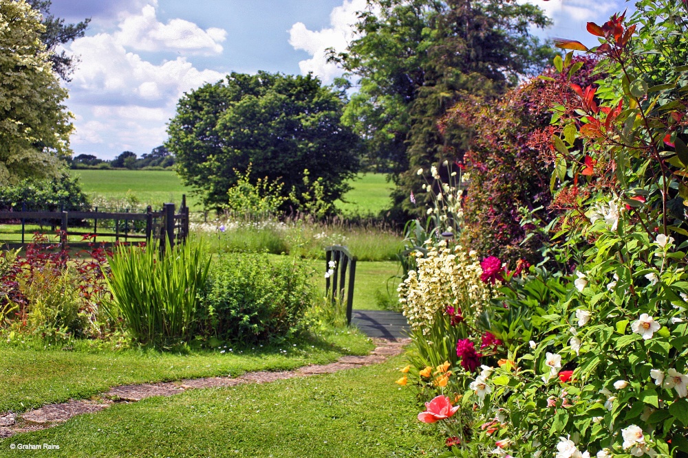 A Dorset Garden, Shillingstone.