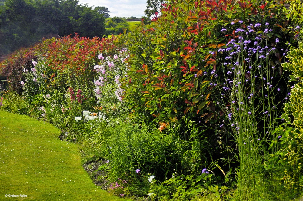 A Dorset Garden, Shillingstone.