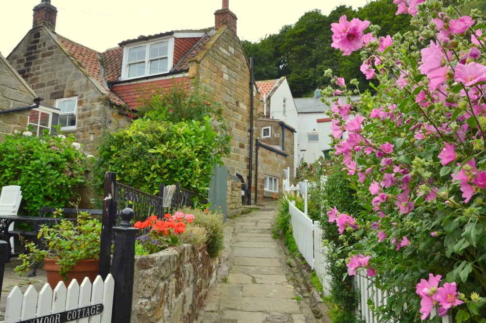 "Runswick Bay Cottages" by Martin Humphreys at