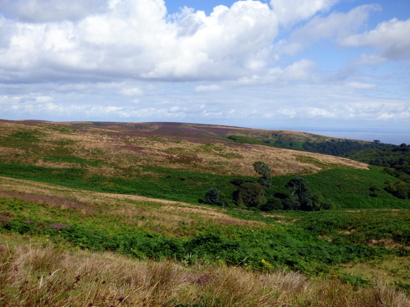 Quantock Hills