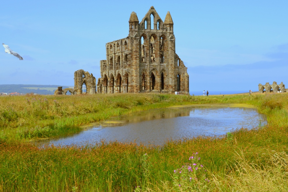 Photograph of Whitby Abbey